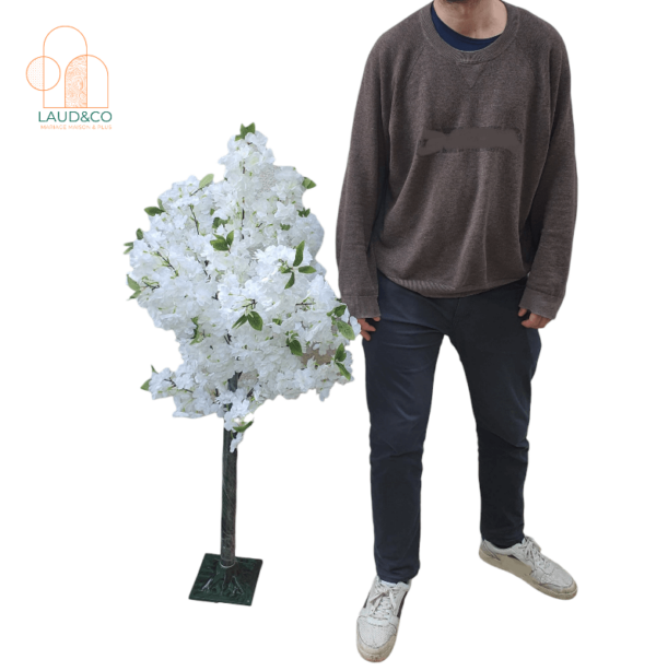 Cerisier blanc de 120 cm – Image 2